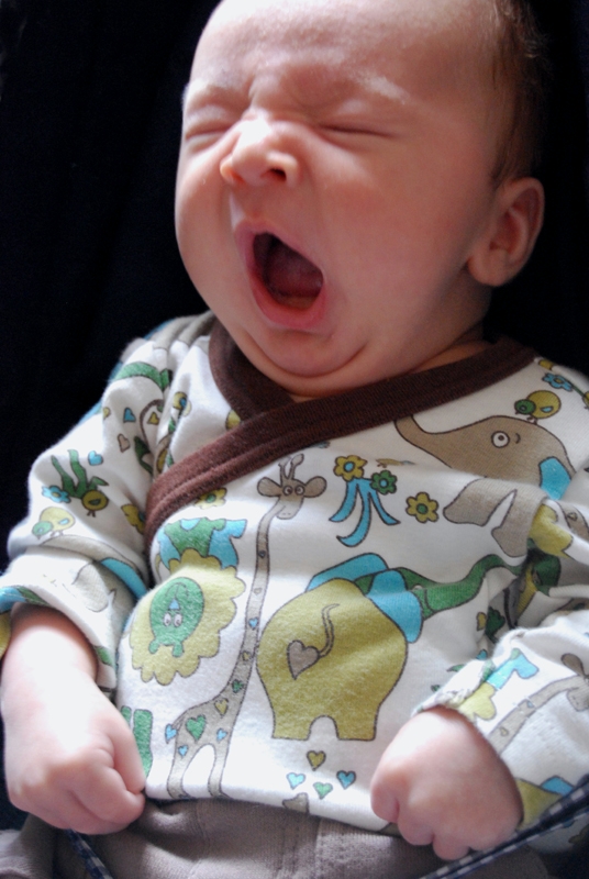 baby bouncer close up 2.jpg